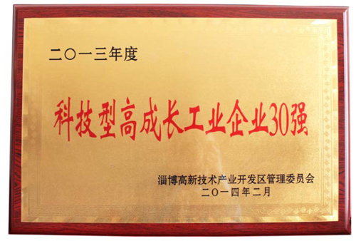 荣誉资质